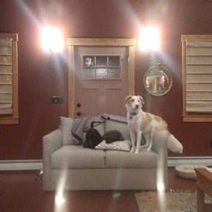 Meet your Posher, Erin